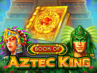 Book Of Aztec King icon